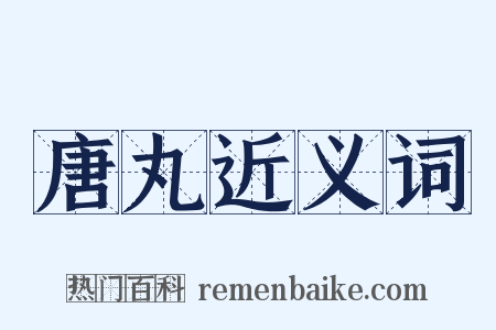 唐丸近义词是什么意思的图片